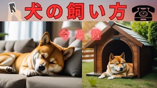 犬の飼い方　今と昔の違い　#室内犬　#室外犬