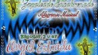 Zapateado Encabronado-Alacranes Musical