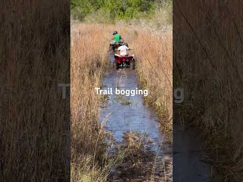 Trail bogging!! #fyp #foryou #atv #dirtbike #trails #mud