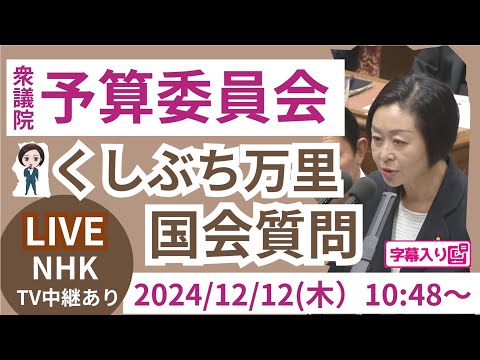 くしぶち万里【補正予算　政府案と立憲民主党修正案との関係について他】 2024.12.12 衆議院 予算委員会 　字幕・資料入りフル