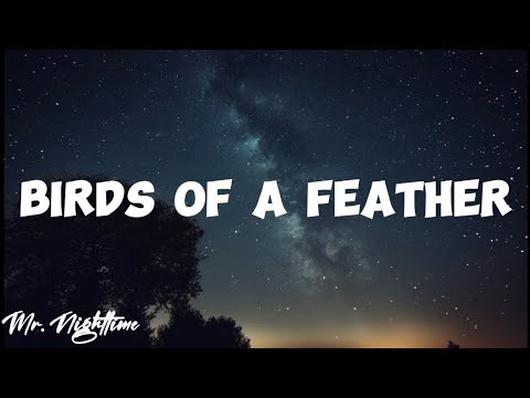 Billie Eilish - BIRDS OF A FEATHER (lyrics video)