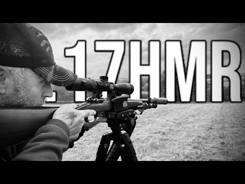 .17HMR Rabbiting Night Time Action Using DNT Zulus 5-20LRF