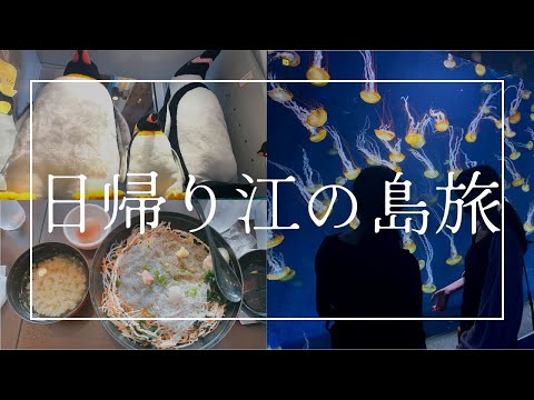 【Vlog】新入社員と人生の夏休み女子｜江の島でしらす｜新江ノ島水族館でクラゲと写真