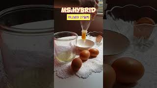 MS.HYBRID 미스.하이브리드 카니보어 27일차 (20230512) 노른자데이 and 버터