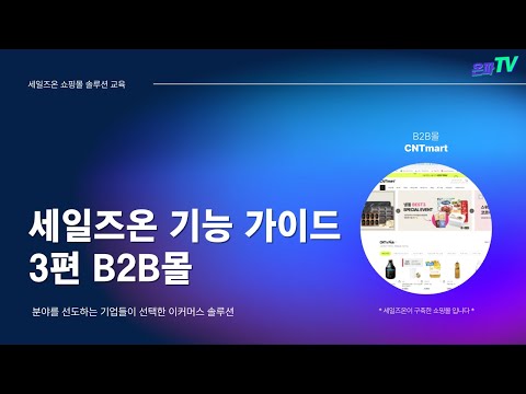 🔑세일즈온 기능가이드 3탄 B2B몰🔑