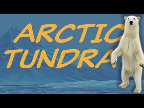 Explore the ARCTIC TUNDRA biome 🌎 Nature Ecology & Environment