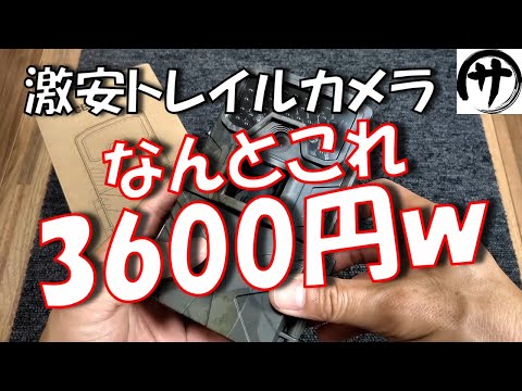 【衝撃映像】コスパ最強！Amazonで3600円で買った激安トレイルカメラの性能が凄すぎたｗｗｗ　　Cheap trail camera review