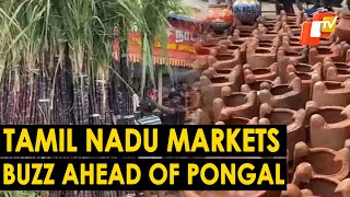 Pongal 2025: Tamil Nadu Abuzz With Locals Buying essentials Ahead Of Makar Sankranti