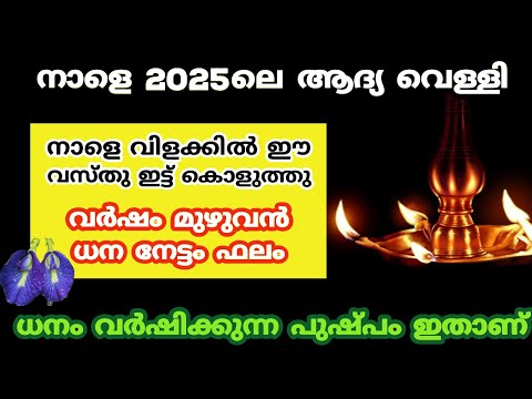 നാളെ ഈ രണ്ട് ഇടത്ത് ഇരുട്ട് പാടില്ല... 2025 ലെ ആദ്യ വെള്ളി