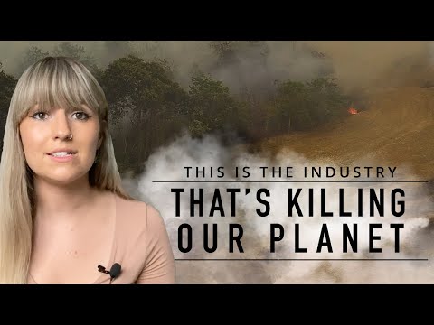 This Is The Industry That’s Killing Our Planet | Animal Equality UK