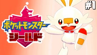 はじめての「ポケモン剣盾」#1