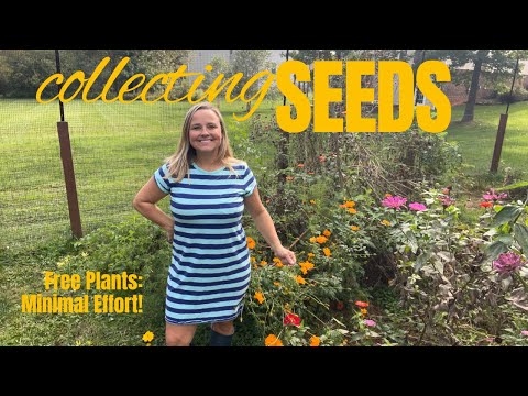 THE BEST KEPT SECRET TO FREE PLANTS!  free seeds, free plants #winning | The Southern Daisy