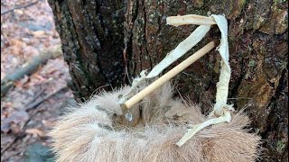 100% Primitive Maple Tree Tapping: Using Hunted & Gathered Materials