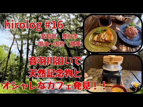 hirolog#16  豊川市御油〜国府散策、モーニングとランチしながら御油の天然記念物を見てきた。