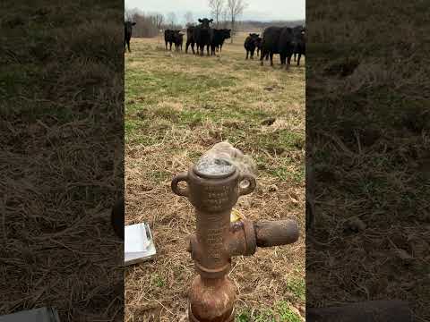 Orphaned well in Grayson County, #Kentucky - Kentucky Geological Survey methane measuring #KGS