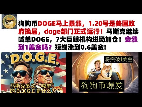 狗狗币DOGE马上暴涨，1.20号是美国政府换届，doge部门正式运行！马斯克继续喊单DOGE，7大巨鲸机构进场加仓！会涨到1美金吗？短线涨到0.6美金#DOGE币#马斯克狗狗币#DOGE行情分析!