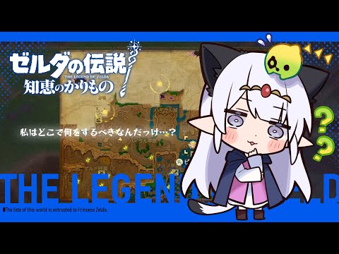 【ゲーム配信】忘却から始まるハイラル生活（約2か月ぶり）#05【ゼルダの伝説~知恵のかりもの~】