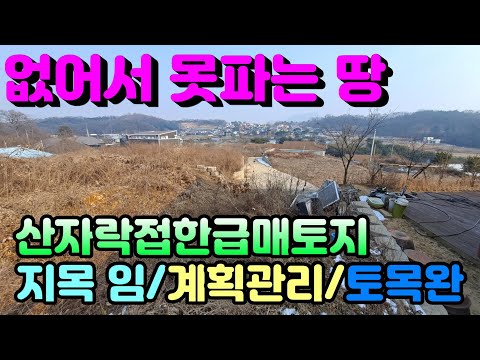 [양평토지]양평읍 회현리 없어서 못파는 위치의 토목완료되고 산자락접한 땅모양좋은 남향토지, 양평토지급매물,양평땅,양평땅급매물,전원주택,양평전원주택지,양평엔공인중개사