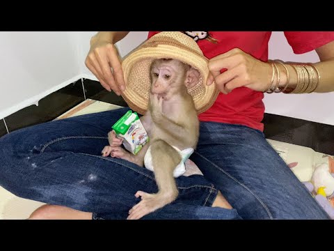 Adorable Baby Boy Sit with mom very so cute