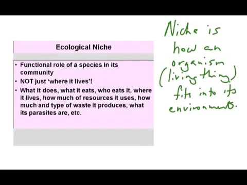 Ecological niche