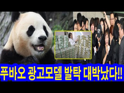 [핫] 푸바오 광고모델 발탁 대박났다!! 첫 판다로...'계약금 10억 원 이상/2년'!!! 팬들의 반응 예상과 달라. 중국은 푸바오를 이용해 돈을 벌었나? #푸바오