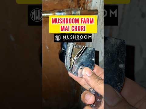 Mushroom farm mai hui chori Mushroom farming vlog #shorts #chori #viralvideo