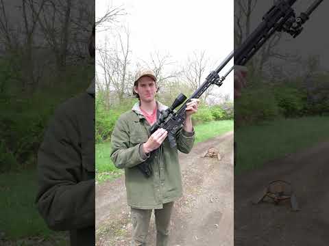 Video ends when bullet sets off bear trap #airgun #gun #shooting #shorts