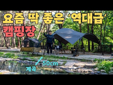 이 곳은 올해 꼭 가야하는 캠핑장 버킷 리스트에 꼭 올려놓으세요 🏕️ 월악산국립공원 용하야영장