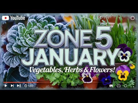 January Gardening in Zone 5: Cold-Hardy Vegetables, Herbs & Flowers! 🌸