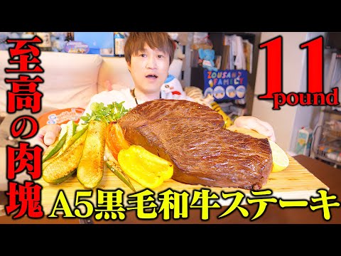 【大食い】A5の黒毛和牛を超肉厚のステーキにして食べたら感動して優勝したった…。【ぞうさんパクパク】【ステーキ】