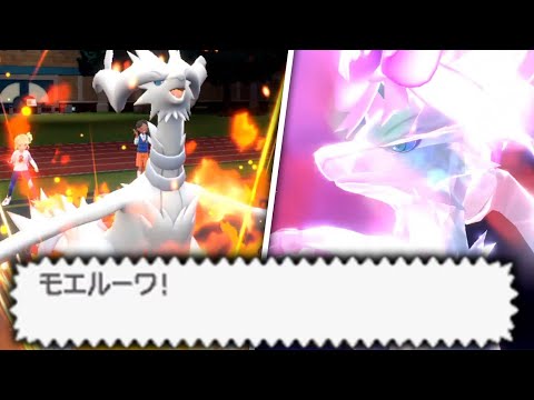 伝説環境で1番〇しいポケモン「レシラム」で暴れる【ポケモンSV】