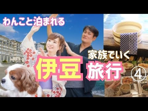 【熱川オーシャンリゾート】わんこと泊まれるよ～年末年始の伊豆旅行④