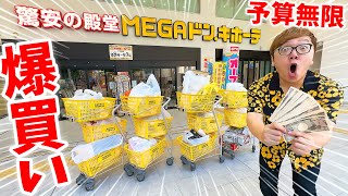 【お金無限爆買い】ドンキ貸切にして20億円新居の日用品爆買いしてみた！【MEGAドン・キホーテ】