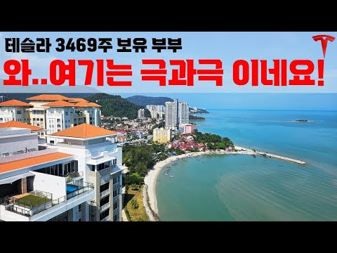 이 곳에 와 보니 테슬라 초장기 투자해도 되겠습니다!