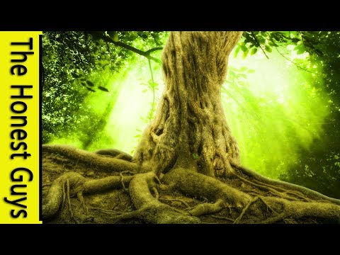 GUIDED SLEEP TALK-DOWN: The Strength of The Earth (Grounding & Anxiety Relief)