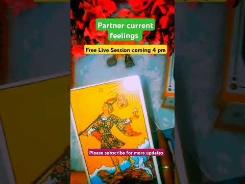 Your partner current feelings |Ganesha Tarot Guidance #shorts