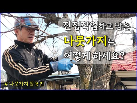 가지치기 하고 남은 나무가지 활용법 / 멀칭, 화분 분갈이 재료 / countryside, block of wood, rustic, mulching