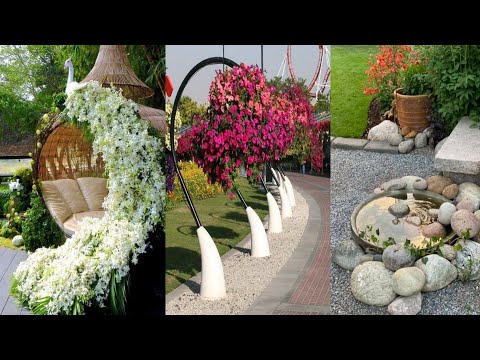 Modern garden delight || Elevate your outdoor oasis with contemporary elegance ideas