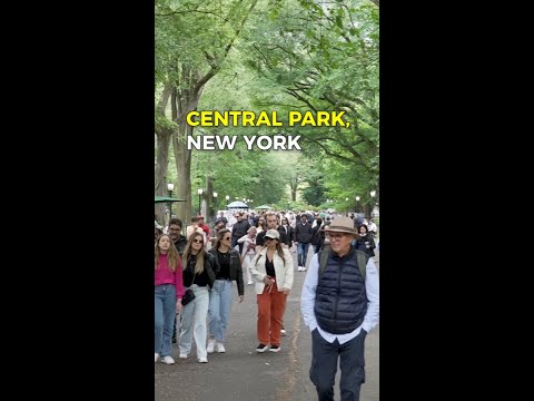 Central Park Walking Tour #nyc