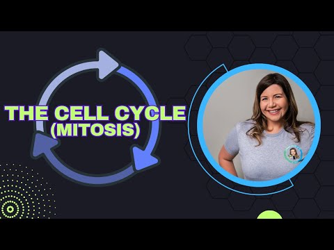 The Cell Cycle - Mitosis (Bio Ch. 12)