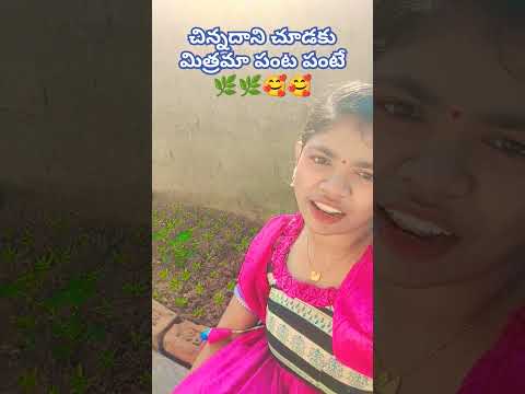 సబ్స్క్రైబ్ చేసుకోండి ఫ్రెండ్స్🌿🥰😘😘😊#trending