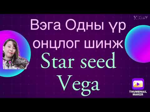 Оддын үрс цуврал5. Вега одны үрсийн онцлог шинж .Vega Star seed .