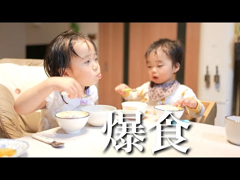 家族みんなで採ったタケノコが美味しすぎてバクバク食べる3歳姉と2歳弟