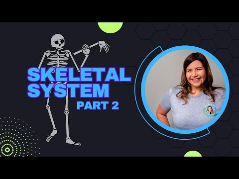 Skeletal System Part 2