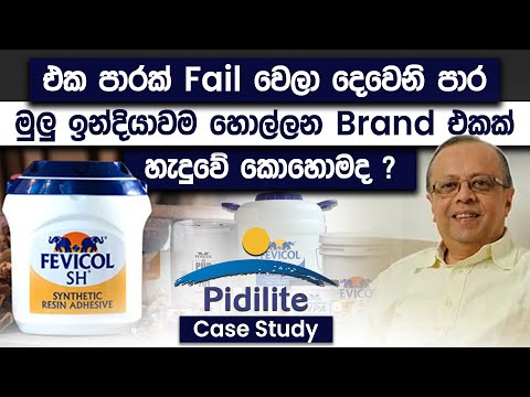 How To Convert Failure To Success | Pidilite Case Study | Simplebooks