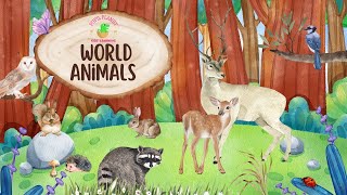 Animals of the World | Animals Names For Kids | Preschool Learning video