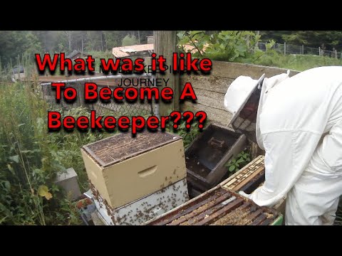 My Beekeeping Journey