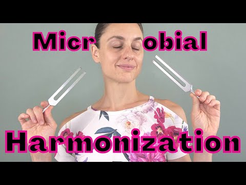 TUNING FORKS FOR GUT HEALTH: How to Use Tuning Forks for Microbial Harmonization