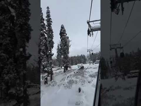 Snowfall in Gulmarg #gulmarg #kashmir