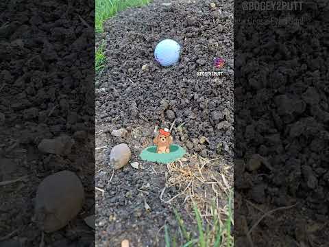 Golf ball lands in gopher mound, what's the ruling? ‎@usga 